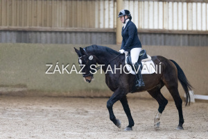 ZH1 hobby (1159).JPG