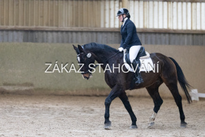 ZH1 hobby (1160).JPG