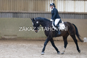 ZH1 hobby (1161).JPG