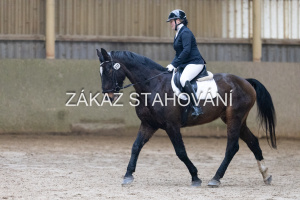 ZH1 hobby (1162).JPG