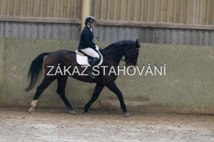 ZH1 hobby (1163).JPG