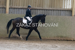 ZH1 hobby (1164).JPG