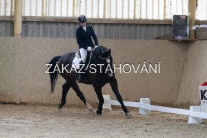 ZH1 hobby (1165).JPG