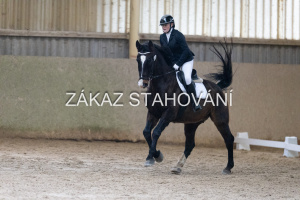 ZH1 hobby (1166).JPG