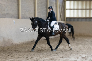 ZH1 hobby (1167).JPG