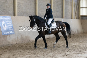 ZH1 hobby (1168).JPG