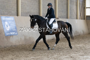 ZH1 hobby (1169).JPG