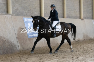 ZH1 hobby (1170).JPG