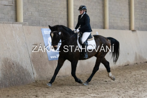 ZH1 hobby (1171).JPG