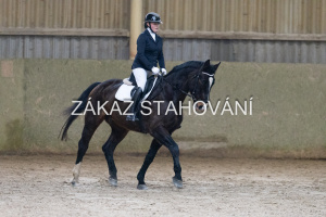 ZH1 hobby (1173).JPG