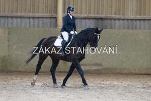 ZH1 hobby (1174).JPG