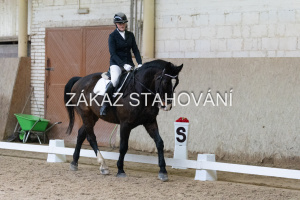 ZH1 hobby (1175).JPG