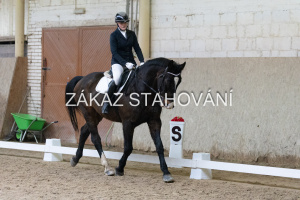 ZH1 hobby (1176).JPG