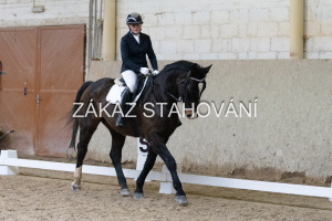 ZH1 hobby (1177).JPG