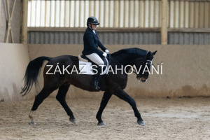 ZH1 hobby (1178).JPG