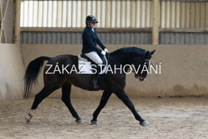 ZH1 hobby (1179).JPG