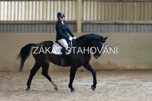 ZH1 hobby (1180).JPG