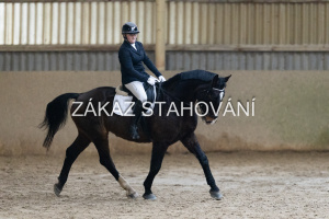 ZH1 hobby (1181).JPG