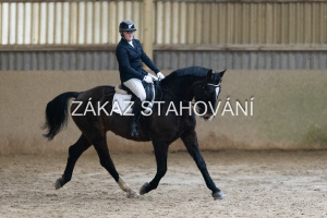 ZH1 hobby (1182).JPG