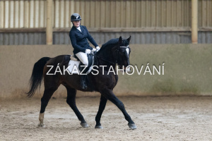 ZH1 hobby (1183).JPG