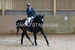 ZH1 hobby (1184).JPG