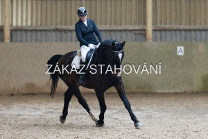 ZH1 hobby (1185).JPG