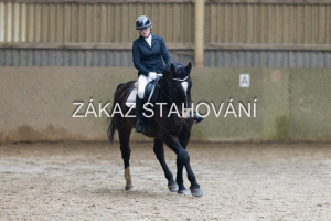 ZH1 hobby (1186).JPG