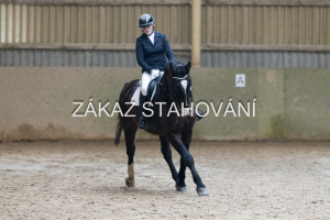 ZH1 hobby (1187).JPG