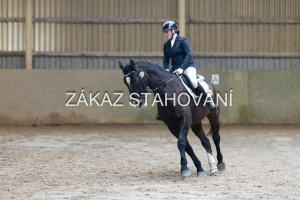 ZH1 hobby (1188).JPG