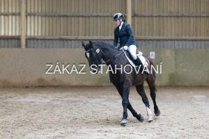 ZH1 hobby (1189).JPG