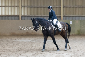 ZH1 hobby (1190).JPG