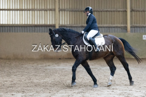 ZH1 hobby (1191).JPG