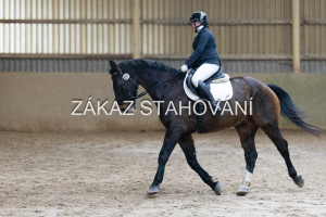 ZH1 hobby (1192).JPG