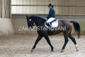 ZH1 hobby (1193).JPG