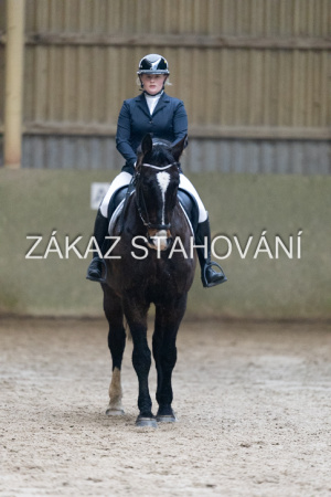 ZH1 hobby (1194).JPG