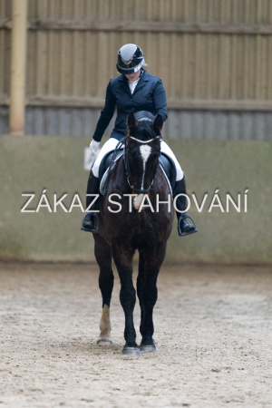 ZH1 hobby (1196).JPG