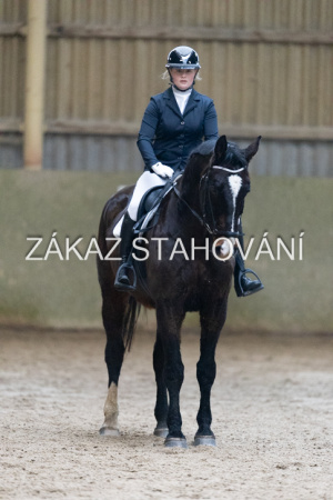 ZH1 hobby (1197).JPG