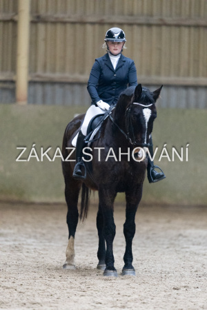 ZH1 hobby (1198).JPG