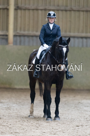 ZH1 hobby (1200).JPG