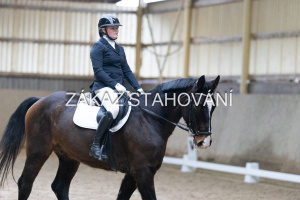 ZH1 hobby (1201).JPG