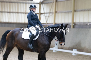 ZH1 hobby (1202).JPG