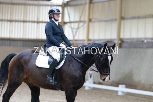 ZH1 hobby (1203).JPG