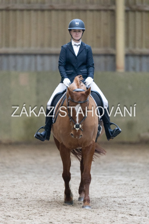 ZH1 hobby (1204).JPG