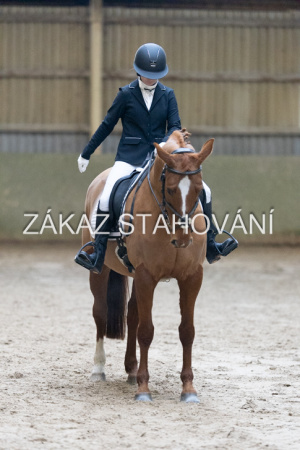 ZH1 hobby (1205).JPG