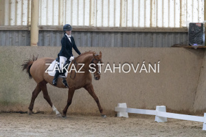 ZH1 hobby (1207).JPG