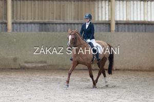 ZH1 hobby (1208).JPG