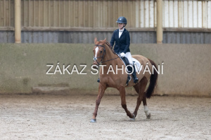 ZH1 hobby (1209).JPG