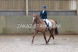 ZH1 hobby (1210).JPG