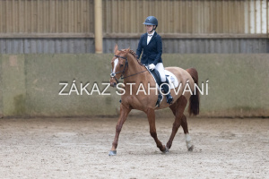 ZH1 hobby (1211).JPG