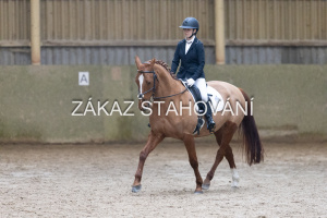 ZH1 hobby (1212).JPG